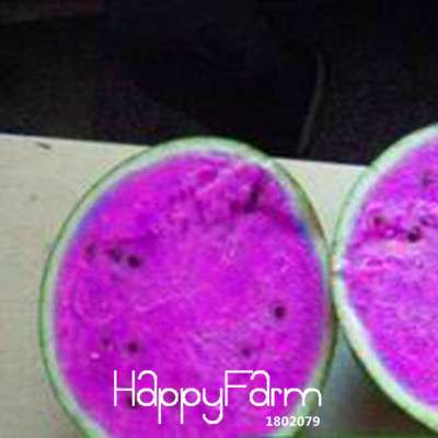 Rare Purple Flesh Watermelon Seeds - Giant Sweet Fruit for Home Garden Planting