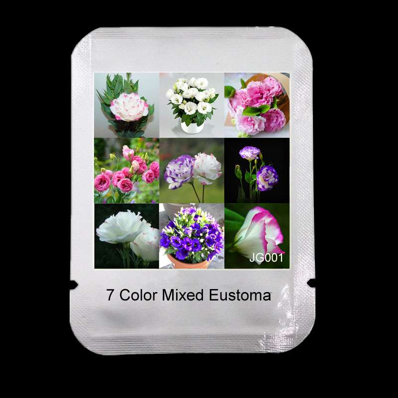 Mixed Color Eustoma Seeds - Perennial Blooming Flowers for Pots, Home & Garden Planting (7 Colors)