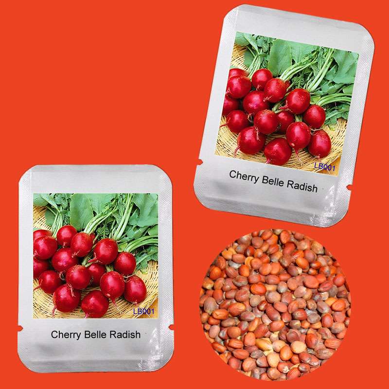 Cherry Belle Radish Seeds - Sweet, Delicious & Easy to Grow for Home Garden | Non-GMO, High Germination Rate