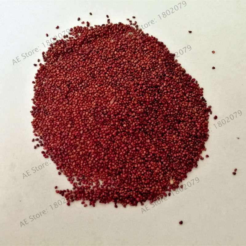 Red Giant Climbing Strawberry Seeds - Rare Bonsai Fruit Seeds for Home Garden DIY