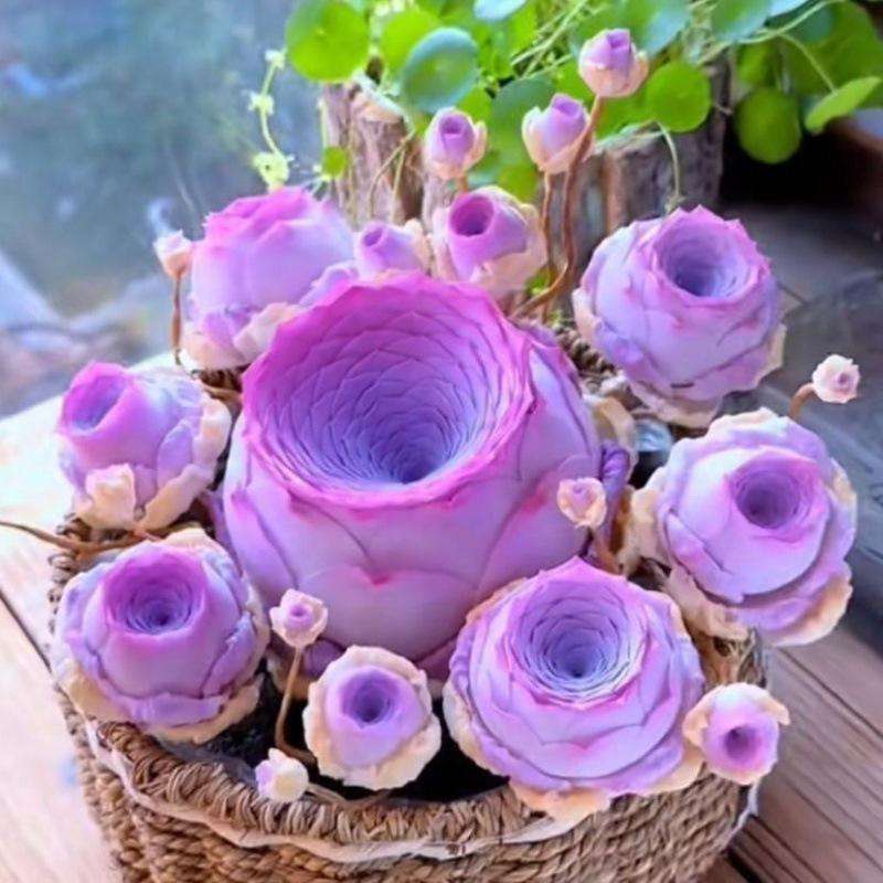 500pcs Mountain Rose Seed Fleshy Peach Rose Succulent Plant for Indoor Potting Desktop Decor