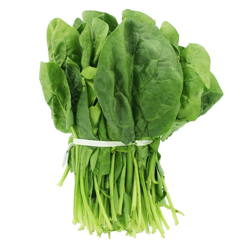 Japanese Large Leaf Spinach Seeds