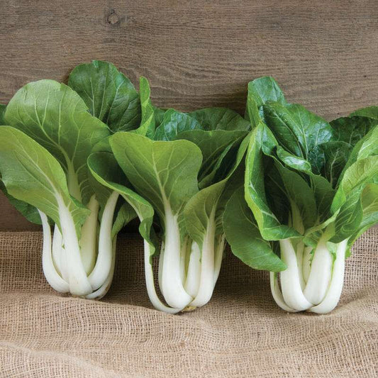 Win-Win Choi (F1) Green Seed