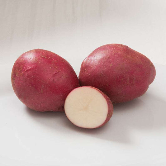 Strawberry Paw Seed Potatoes