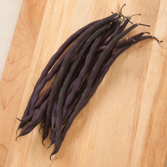 Carminat Bean Seed