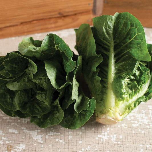 Monte Carlo Pelleted Lettuce Seed