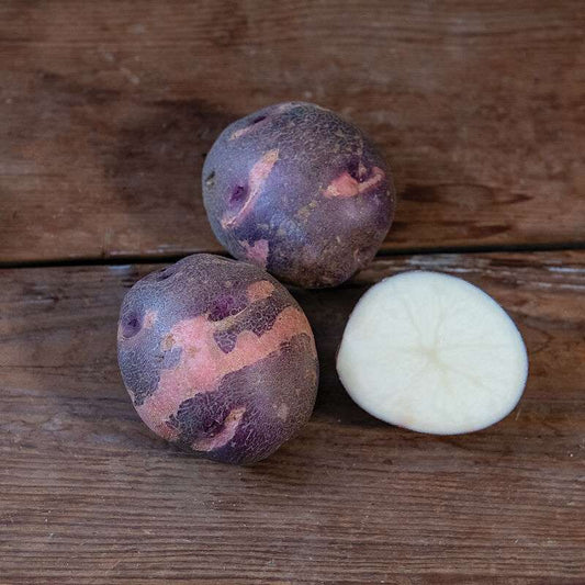 Purple Viking - Early Ship Organic Seed Potatoes