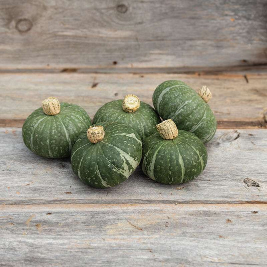 Sweet Jade Organic (F1) Kabocha Squash Seed