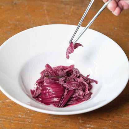 Merlot (F1) Chinese Cabbage Seed