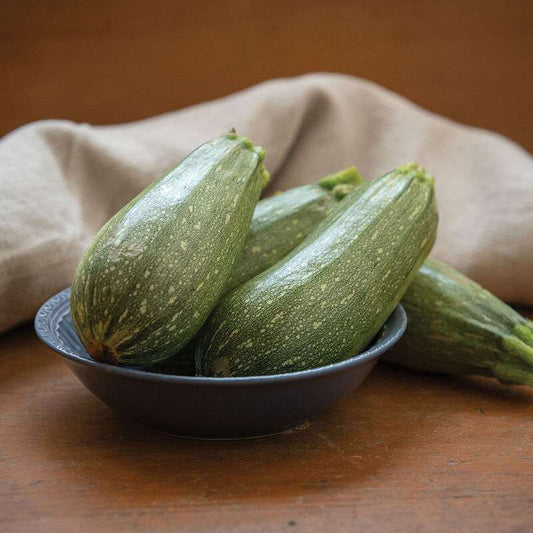 Mexicana Organic (F1) Zucchini Squash Seed