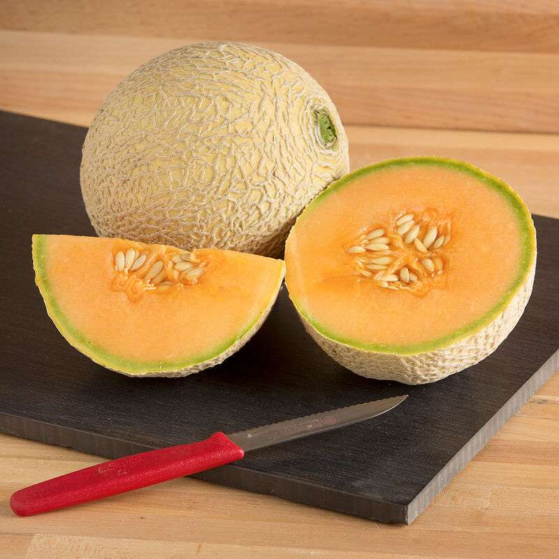 Sugar Cube (F1) Melon Seed