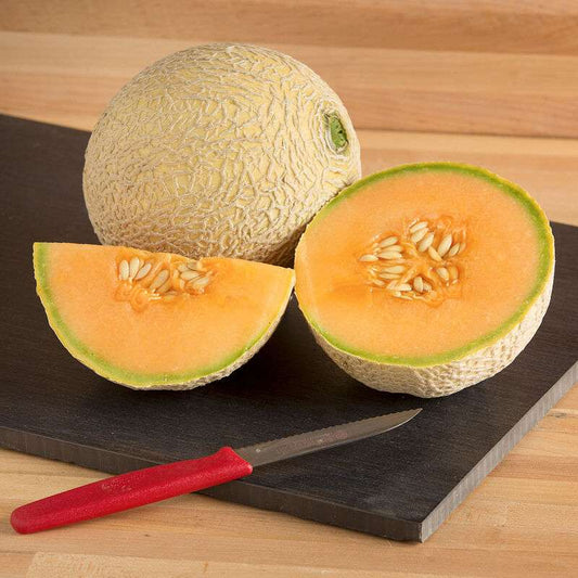 Sugar Cube (F1) Melon Seed