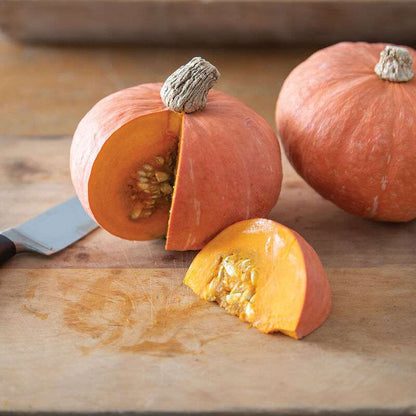 Marmalade Organic (F1) Kabocha Squash Seed