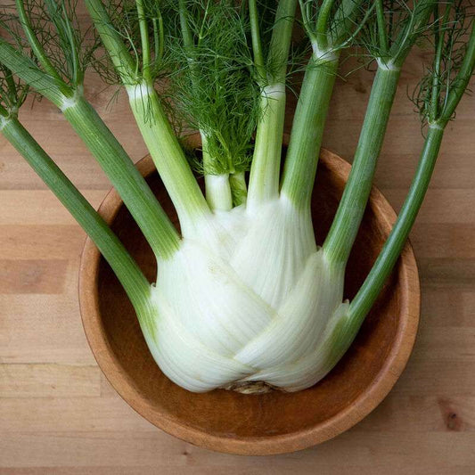 Dragon (F1) Fennel Seed