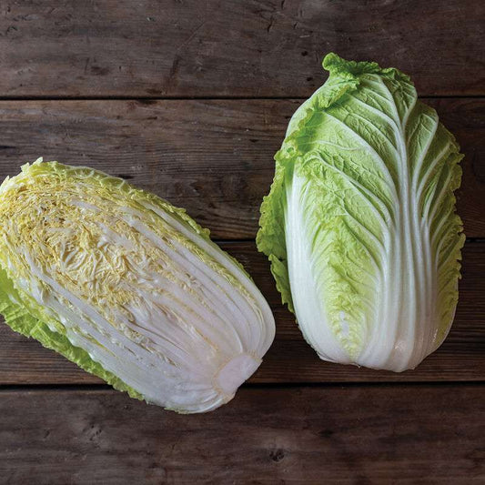 Haku (F1) Chinese Cabbage Seed