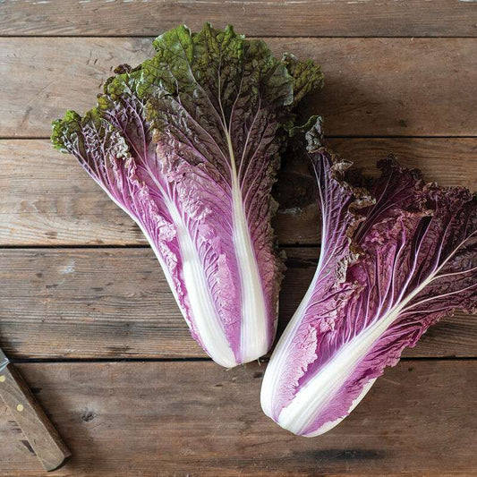 Red Trumpet (F1) Chinese Cabbage Seed