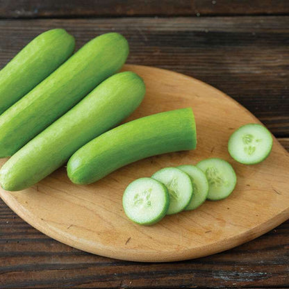 Mojito (F1) Cucumber Seed