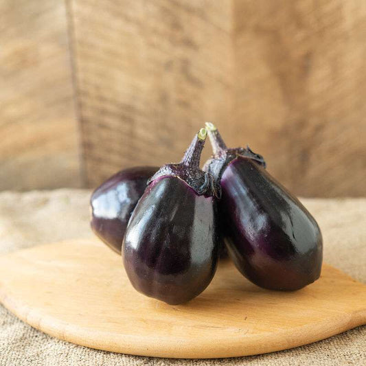 E-Tender (F1) Eggplant Seed