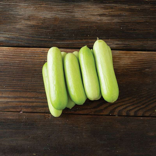 Gimlet (F1) Cucumber Seed