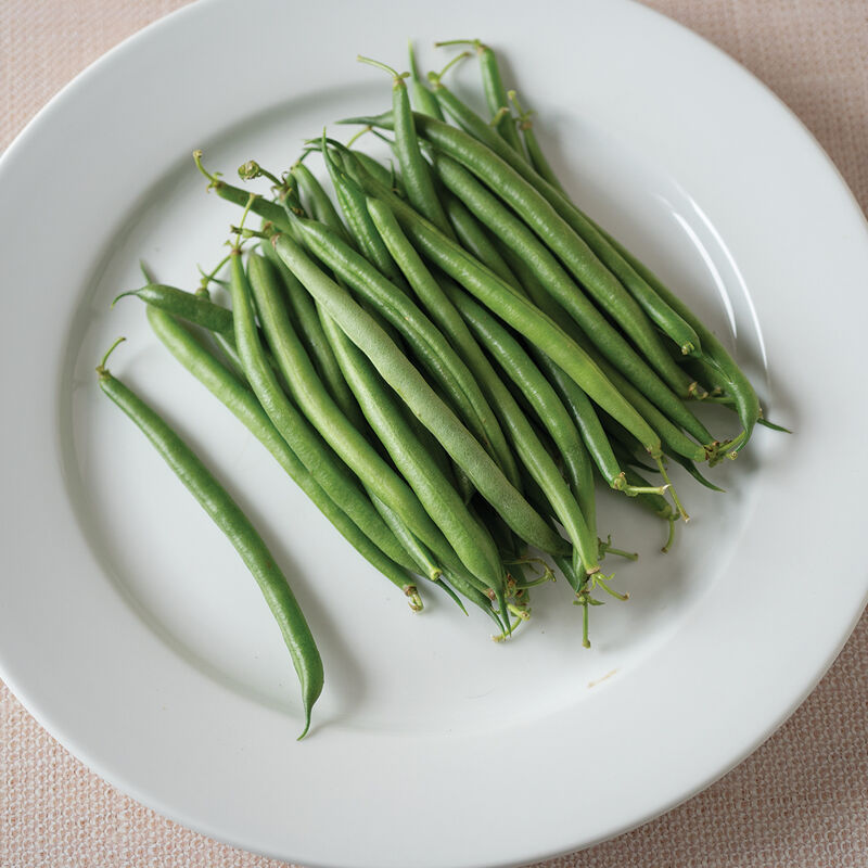 Red Tail Organic Bean Seed