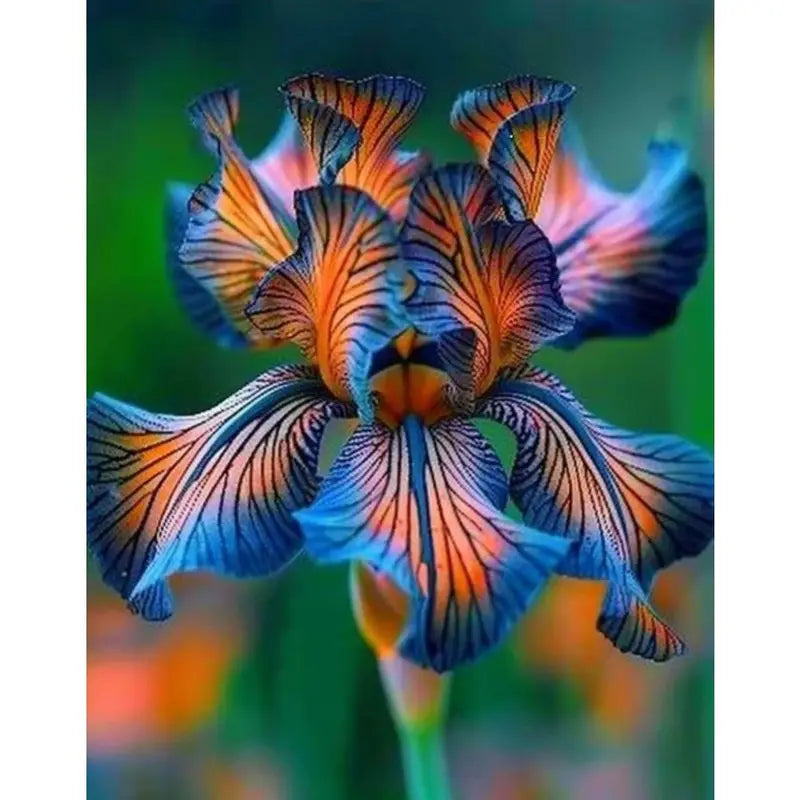 100 PCS Exotic Blue and Yellow Iris Seeds