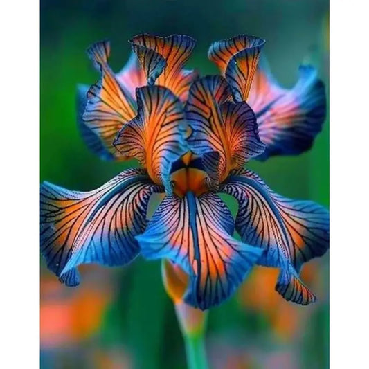 100 PCS Exotic Blue and Yellow Iris Seeds