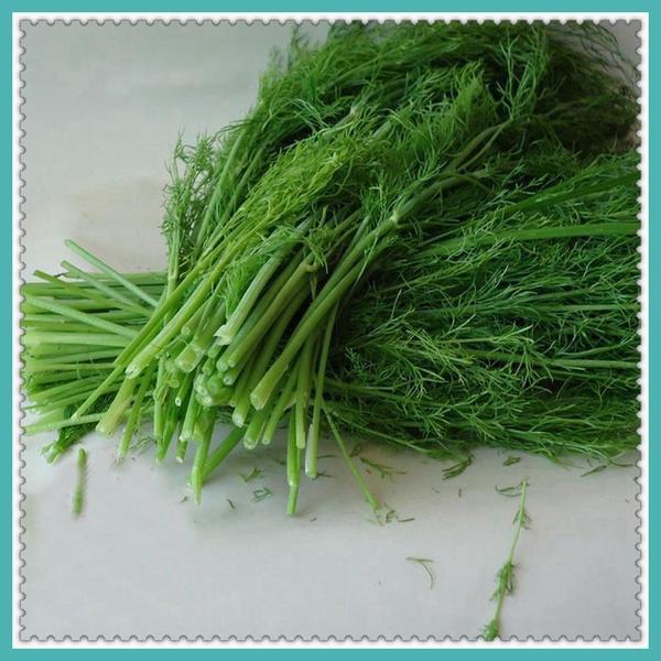 Fennel Seeds