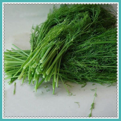 Fennel Seeds