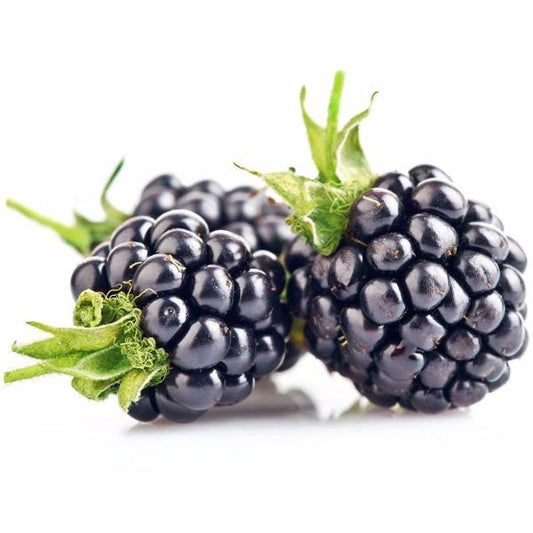 Raspberry Fruit Seeds