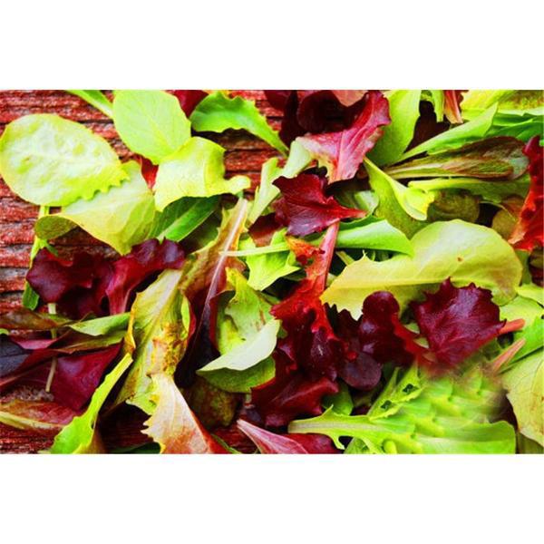 Mesclun Mix Seeds