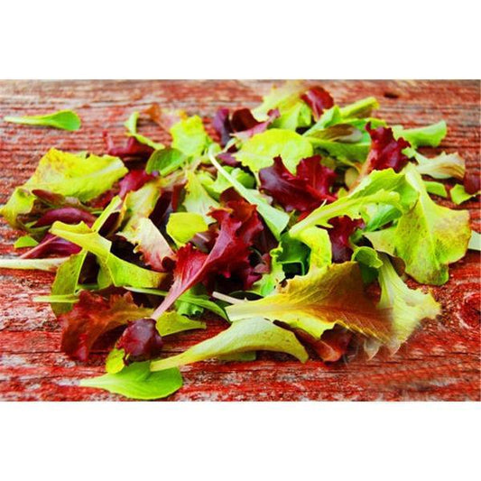 Mesclun Mix Seeds