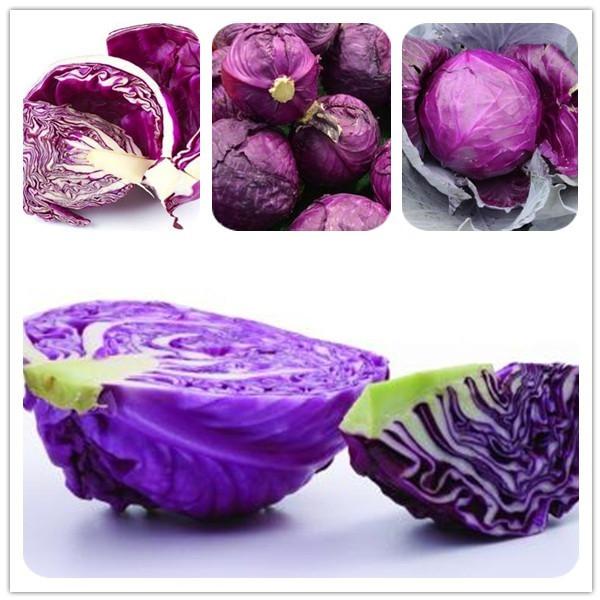 Purple Cabbage Seeds