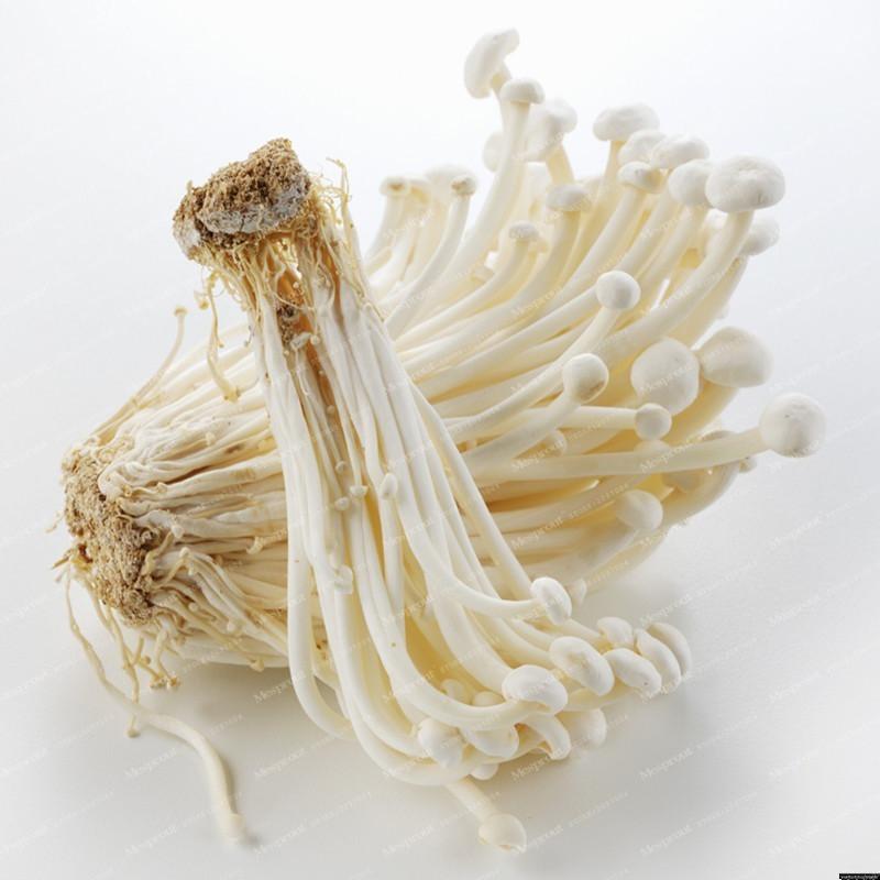 Enoki Mushroom Seeds