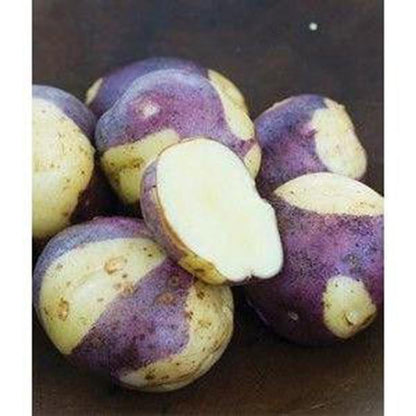 Purple Potato Seeds