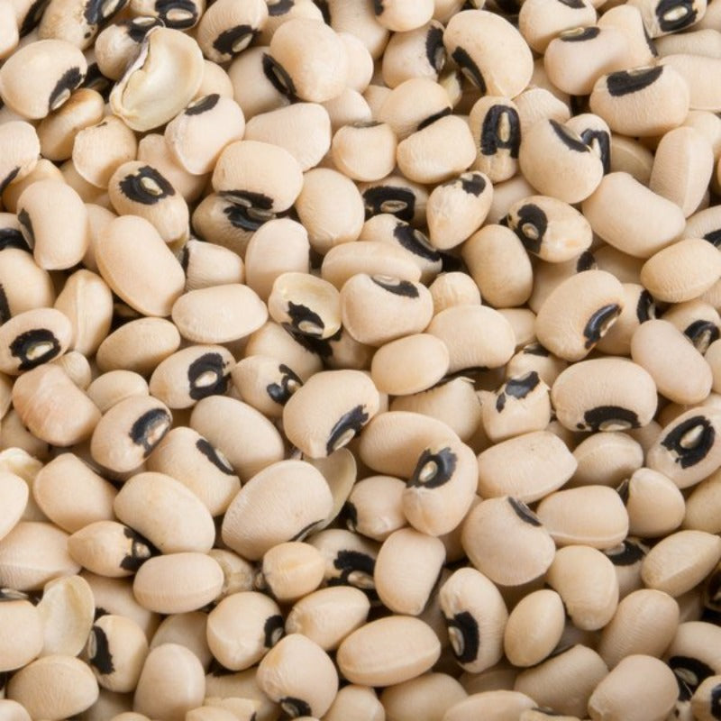 Cowpea seed-Long Bean