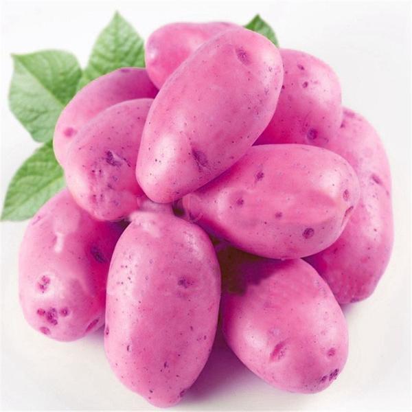 Purple Potato Seeds