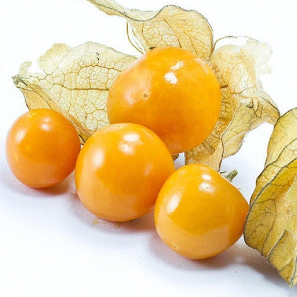 Golden Berry Seeds