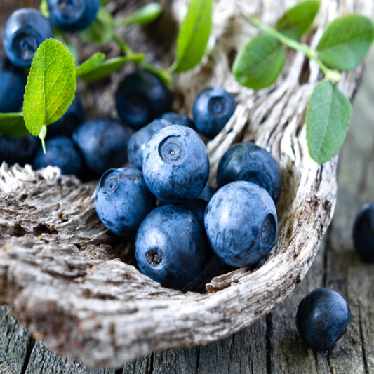 Deep Blue Blueberry Seeds