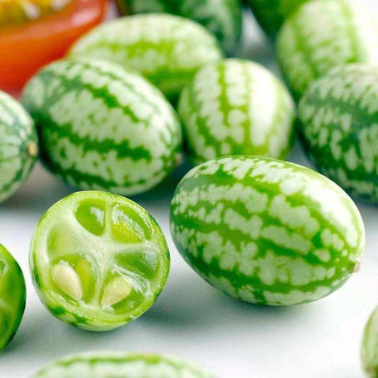 Mexican Miniature Melothria Heirloom Seeds