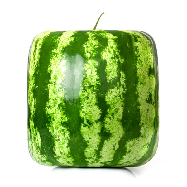 Rare Geometric Square Watermelons Seeds