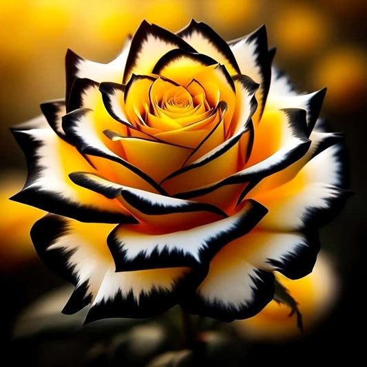 100 Pcs Black & Gold Contrast Rose Seeds - Living Art for Discerning Gardeners