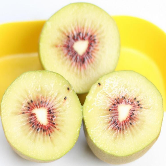 Potted Light Yellow Kiwi Seeds