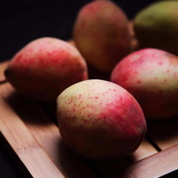 Mountain Sweet Peach Seeds