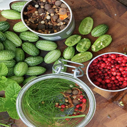 Mexican Miniature Melothria Heirloom Seeds