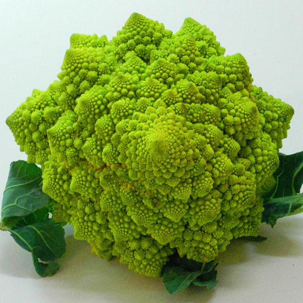 Light Green Snowy Cauliflower Seeds