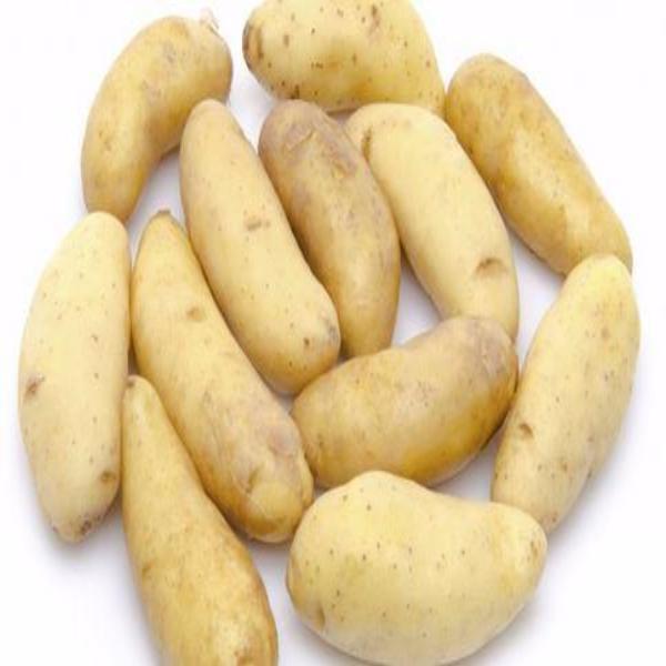 Russian Banana Potato Seeds