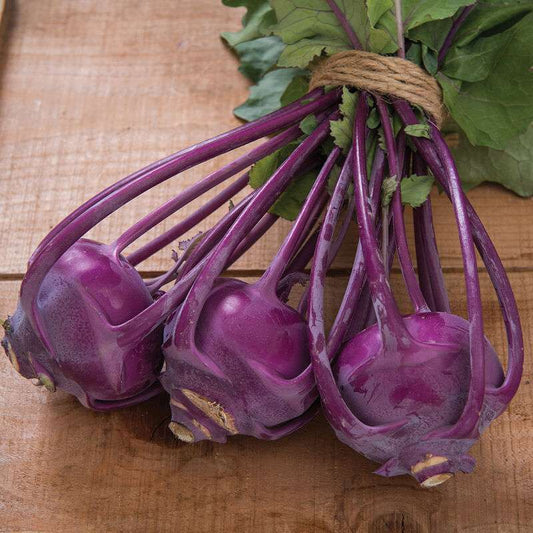 Azur Star Organic Kohlrabi Seed