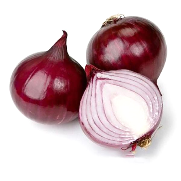 Russian Heirloom Giant Onion Seeds