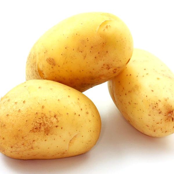 White Melody Potato Seeds