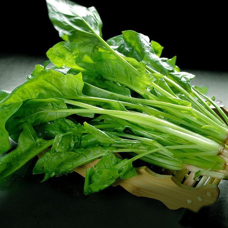 Green Salad Spinach Leave Seeds